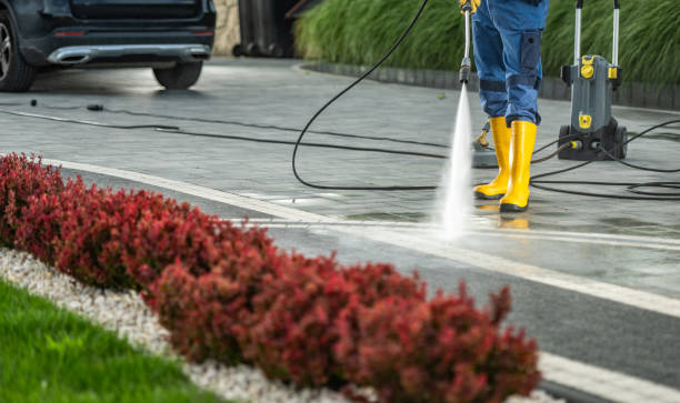 Best Residential Pressure Washing Services  in Livingston, AL