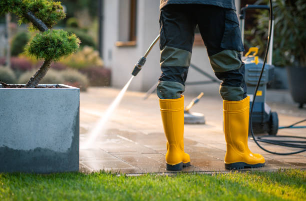 Best Power Washing Near Me  in Livingston, AL